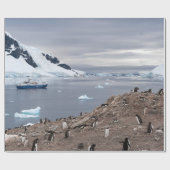 PAPIER CADEAU PENGUINS BESEIN (Plat)