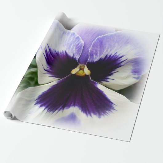 Papier Cadeau pensée violette foncée sur blanc (Déroulé)