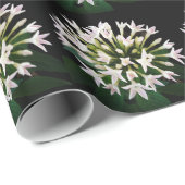 Papier Cadeau Pentas blanc (Coin rond)