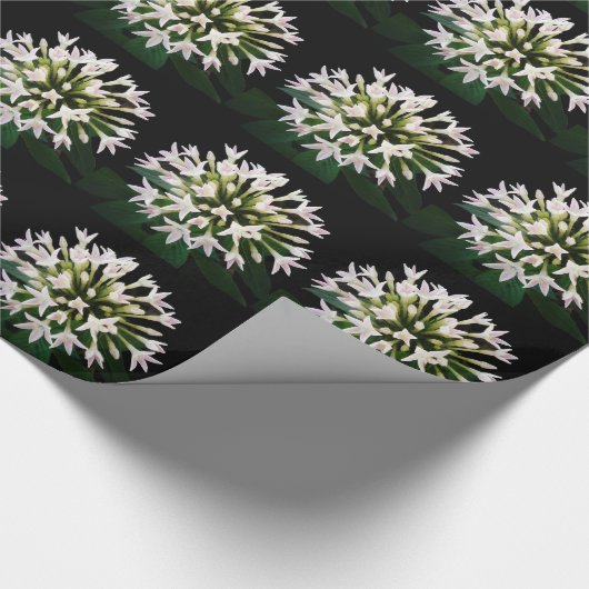 Papier Cadeau Pentas blancs (Coin)