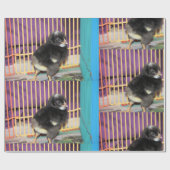 Papier Cadeau Pep (Plat)