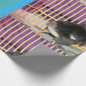 Papier Cadeau Pep (Coin)