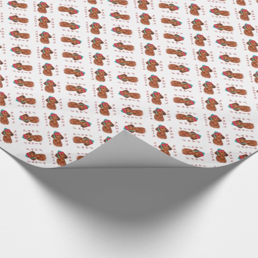 Papier Cadeau Père Noël Paws (Coin)