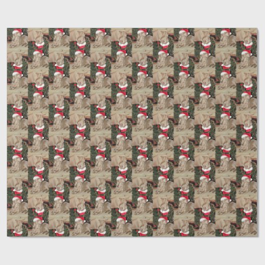 Papier Cadeau père Noël Paws - Style Weimaraner - (4SQ) - 3 Pose (Plat)