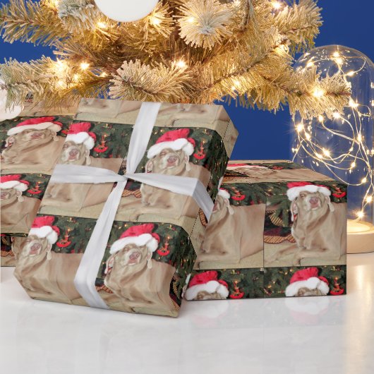 Papier Cadeau Père Noël Paws - Weimaraner Chien Noël (Vacances)