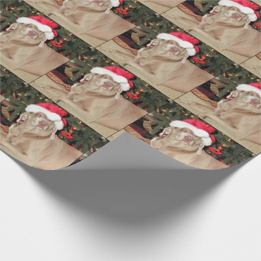 Papier Cadeau Père Noël Paws - Weimaraner Chien Noël (Coin)