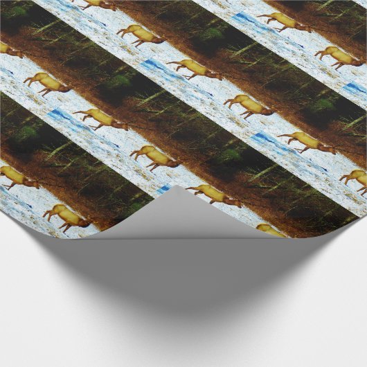 Papier Cadeau Personnaliser (Coin)