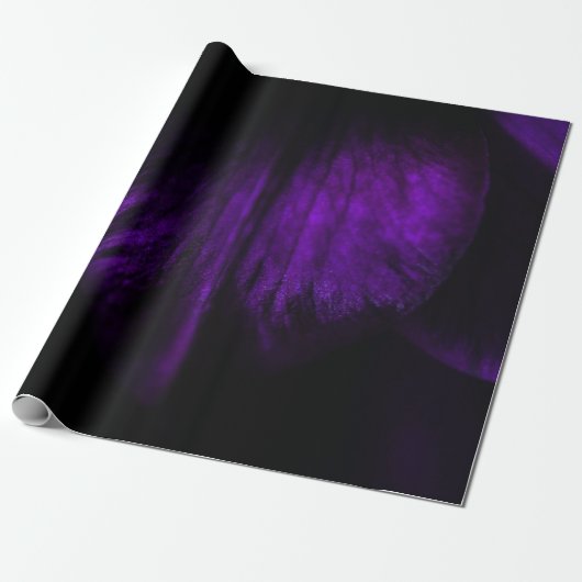 Papier Cadeau Pétale de fleurs violettes (Déroulé)