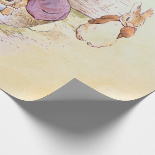 Papier Cadeau Peter Rabbit 9 (Coin)