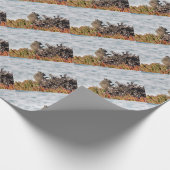 Papier Cadeau Petit écureuil (Coin)