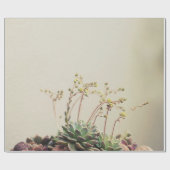 PAPIER CADEAU PETIT JARDIN SUCCULENT (Plat)
