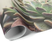 PAPIER CADEAU PETIT JARDIN SUCCULENT (Coin rond)