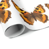 Papier Cadeau Petit papillon isolé de tortue (Coin rond)