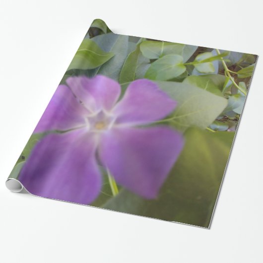 Papier Cadeau Petite fleur pourpre (Déroulé)