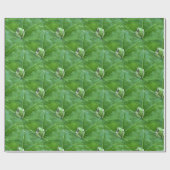 Papier Cadeau Petites grenouilles.... (Plat)