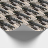 Papier Cadeau Petrosaurus thalassinus (Coin)