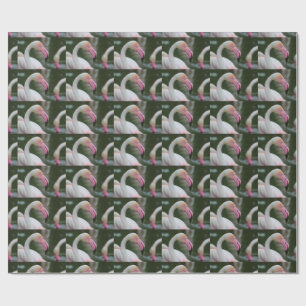 Papier Cadeau Phoenicopterus roseus