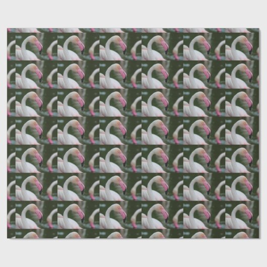 Papier Cadeau Phoenicopterus roseus (Plat)