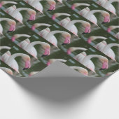 Papier Cadeau Phoenicopterus roseus (Coin)