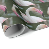 Papier Cadeau Phoenicopterus roseus (Coin rond)