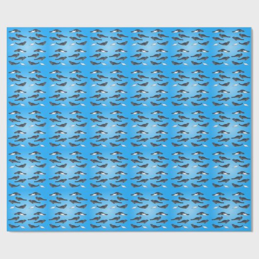 Papier Cadeau Phoques (Plat)