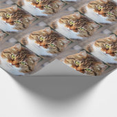 Papier Cadeau Photo Cat (Coin)