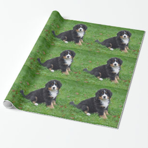 Papier Cadeau Photo Chien de Montagne Bernois