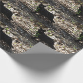 Papier Cadeau Photo de chat noir (Coin)