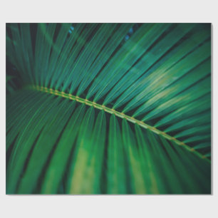 Papier Cadeau Photo de la nature tropicale de la feuille verte