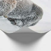 Papier Cadeau Photo de la neige de Buffalo (Coin)