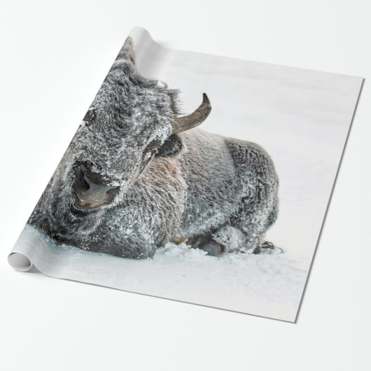 Papier Cadeau Photo de la neige de Buffalo (Déroulé)