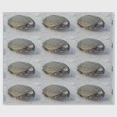 Papier Cadeau Photo de tortue (Plat)