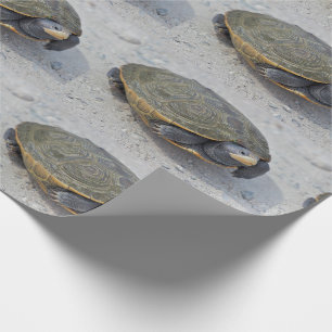 Papier Cadeau Photo de tortue