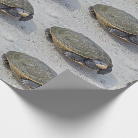 Papier Cadeau Photo de tortue (Coin)