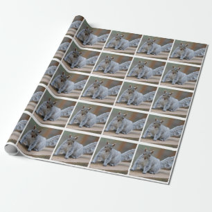 Papier Cadeau Photo d'écureuil
