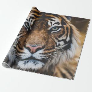 PAPIER CADEAU PHOTO DU VISAGE DE TIGER