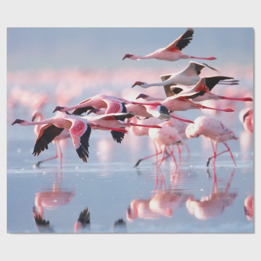 Papier Cadeau Photo retro. Texture papier. Âgé texturé (Plat)