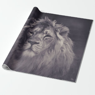 PAPIER CADEAU PHOTOGRAPHIE À GRANDE ÉCHELLE DE LION