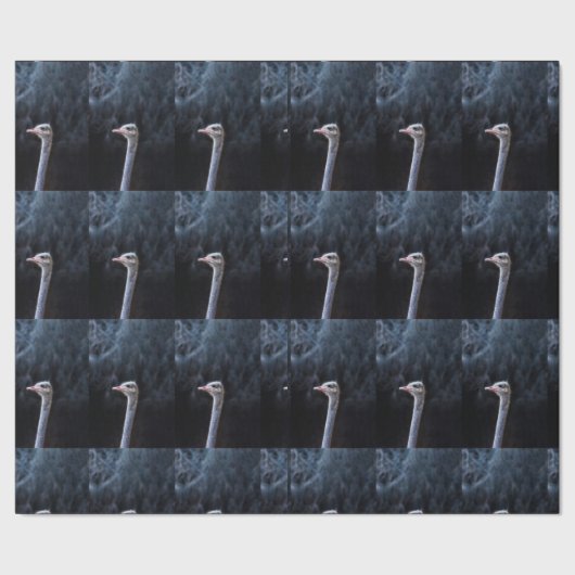 Papier Cadeau Photographie d'autruche (Couture)