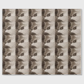 Papier Cadeau photographie de baiser mignonne d'akita de (Plat)