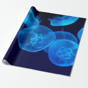 PAPIER CADEAU PHOTOGRAPHIE DE CLOSEUP DE SWARM DE JELLYFISH