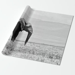 PAPIER CADEAU PHOTOGRAPHIE DE L'ÉLÉPHANT