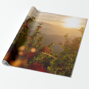 Papier Cadeau Photographie de nature d'arbres verts surplombant 