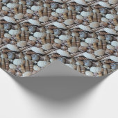 Papier Cadeau Photographie des coquillages d'été exotiques tropi (Coin)