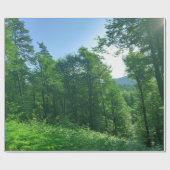 Papier Cadeau Photographie du paysage de la forêt verte (Plat)