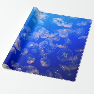 PAPIER CADEAU PHOTOGRAPHIE SOUS-MARINE DE JELLYFISH