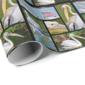 Papier Cadeau Photos mosaïque de pélicans (Coin rond)