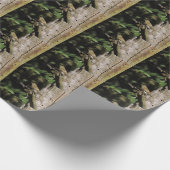 Papier Cadeau Phylloscopus collybita (Coin)