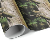 Papier Cadeau Phylloscopus collybita (Coin rond)