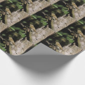Papier Cadeau Phylloscopus collybita (Coin)